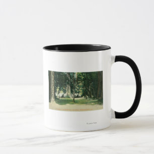 Taza Vista de un campo en las secoyas