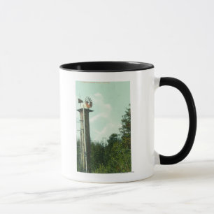 Taza Vista de un viento MillEureka, CA de la secoya