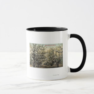 Taza Vista de una huerta de la pasa de 300.000 árboles