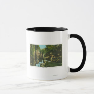 Taza Vista del abismo de Ausable