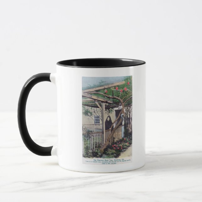 Taza Vista del árbol Rosa ShermanMonterey, CA (Izquierda)