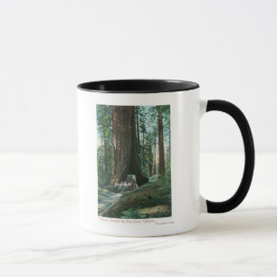 Taza Vista del carro del caballo debajo del árbol de