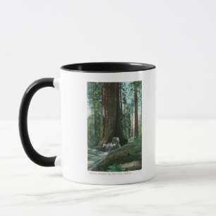 Taza Vista del carro del caballo debajo del árbol de