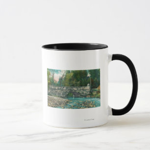Taza Vista del condado de Napa BridgeNapa, CA