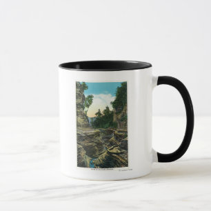 Taza Vista del desfiladero de la entrada sur