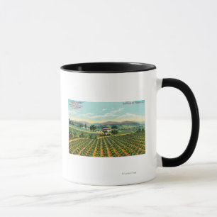 Taza Vista del Giersberg VineyardNapa, CA