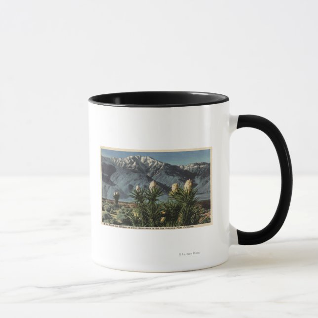 Taza Vista del Monte San Jacinto, Yucca Mohavensis (Derecha)