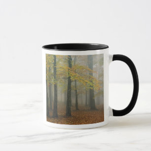Taza Vista del otoño del bosque nublado, abuelo 3