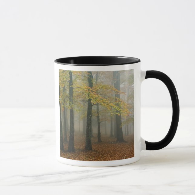 Taza Vista del otoño del bosque nublado, abuelo 3 (Derecha)
