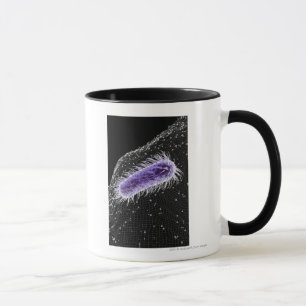 Taza Vista microscópica de una célula de los píloros