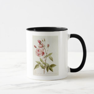 Taza Vulgaris Indica de Rosa, de los 'rosas de Les