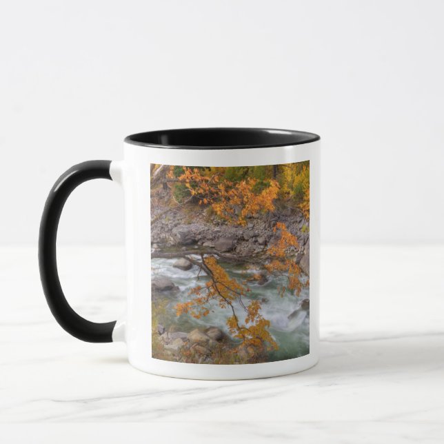 Taza WA, Bosque Nacional Wenatchee, Arce y (Izquierda)