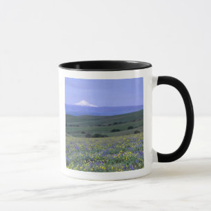 Taza WA, Condado de Klickitat, Dalles Mountain Ranch,