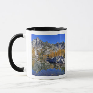 Taza WA, Desierto Alpino de Lagos, Enchantment 7
