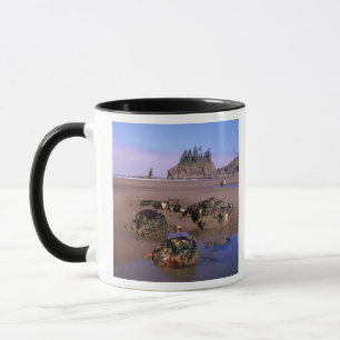 Taza WA, Olympic NP, Second Beach con piscinas de marea