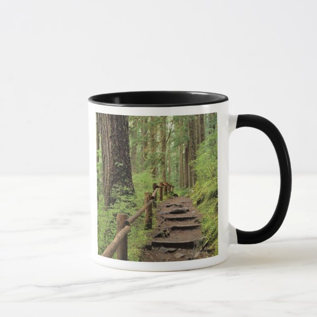 Taza WA, Parque Nacional Olímpico, Valle de Sol Duc, bo (Derecha)