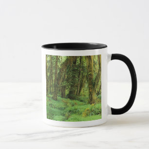 Taza WA, Parque Nacional Olympic, Bosque Lluvioso Quina