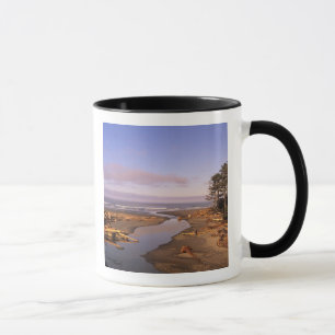 Taza WA, Parque Nacional Olympic, playa Kalaloch y Kala