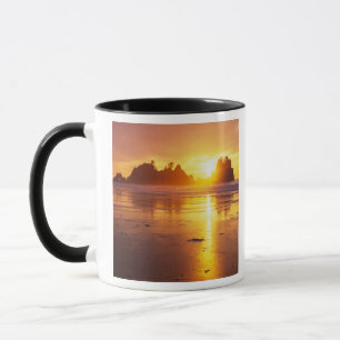 Taza WA, PN Olympic, playa Shi Shi al atardecer, Punto