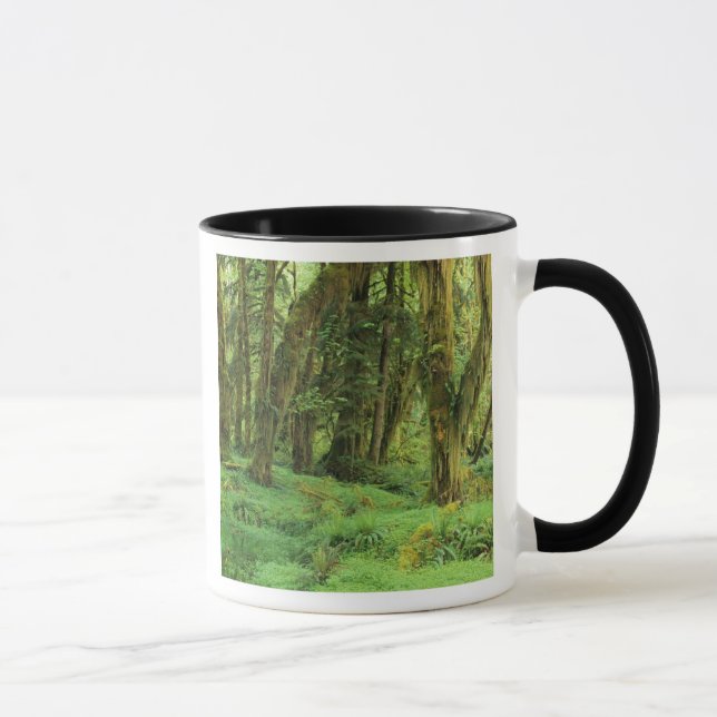 Taza WA, policía olímpica, bosque de lluvia Quinault, m (Derecha)