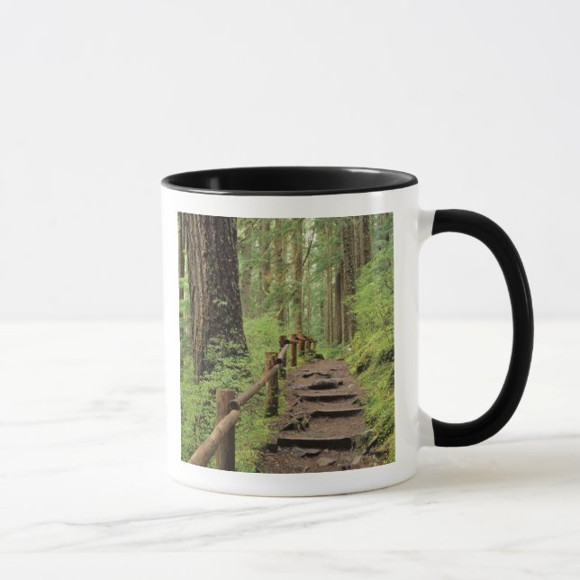 Taza WA, policía olímpica, Valle Sol Duc, selva tropica (Derecha)