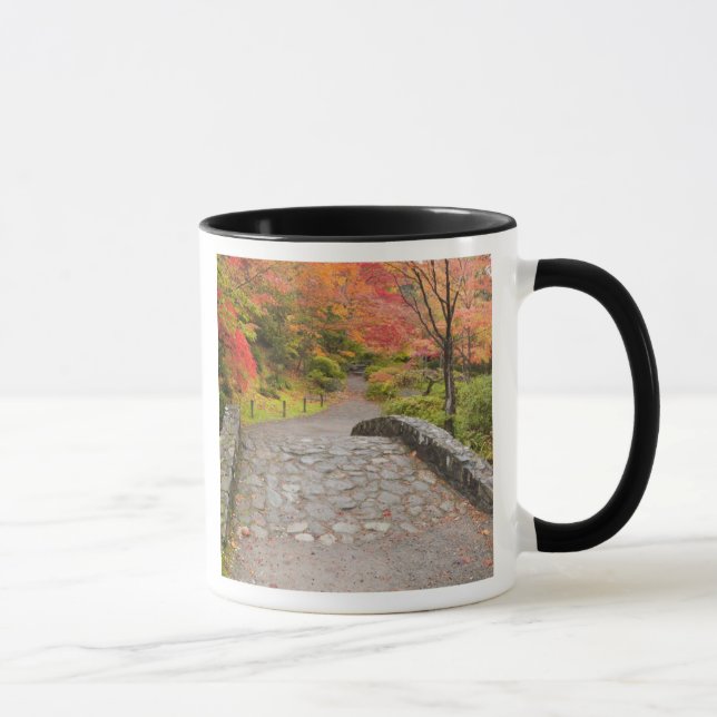 Taza WA, Seattle, Arboreto del Parque de Washington, (Derecha)