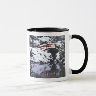 Taza WA, Seattle, puente lunar y estanque después del i