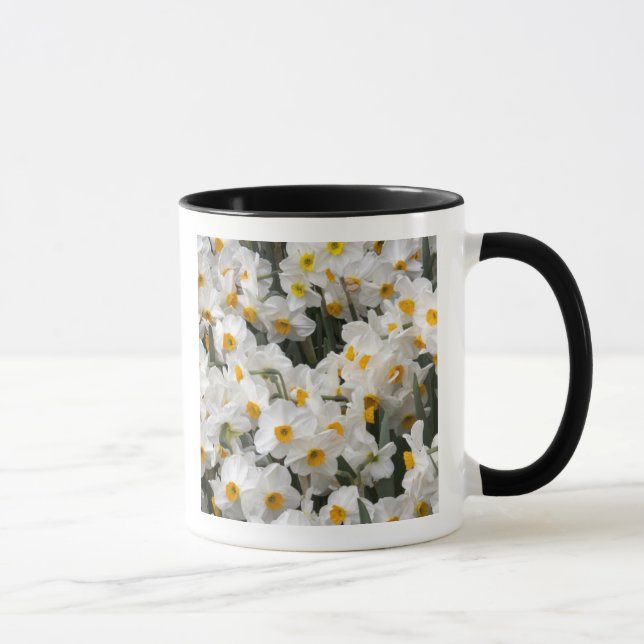 Taza WA, Valle de Skagit, patrón de narcisos (Derecha)