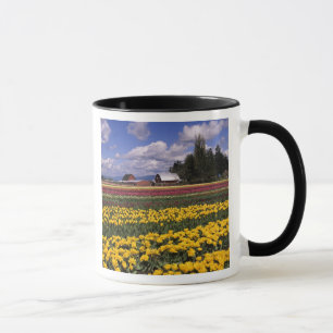 Taza WA, Valle de Skagit, Tulipán del Valle de Skagit