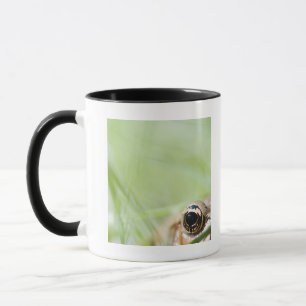 Taza Washington, los E.E.U.U.