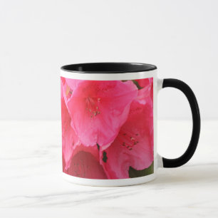 Taza Washington, Seattle, Puget Sound, Parque Discovery