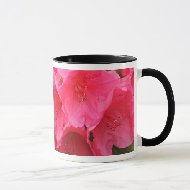 Taza Washington, Seattle, Puget Sound, Parque Discovery (Derecha)