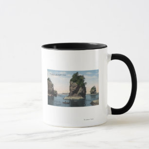 Taza Washington - vista de la adulación y de Tatoosh
