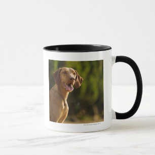 Taza Weimaraner