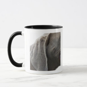 Taza Weimaraner 3