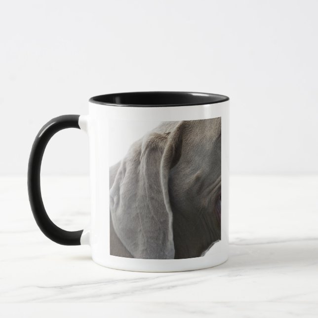 Taza Weimaraner 3 (Izquierda)