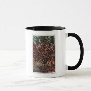 Taza Wenatchee, WAA Wenatchee Valley Apple Tree