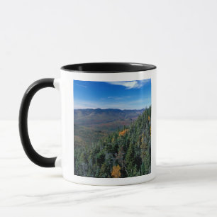 Taza White Mountain N.F., NH. La vista desde cerca