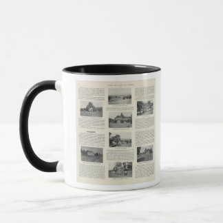 Taza Windsor, California