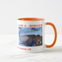 Taza Wings Up Eastern Bluebird Birder