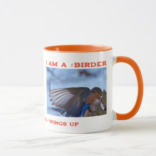 Taza Wings Up Eastern Bluebird Birder