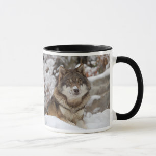 Taza Winter Wolf