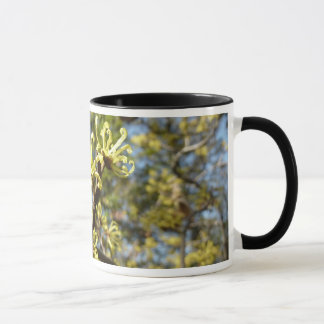 Taza Witch Hazel Flowers