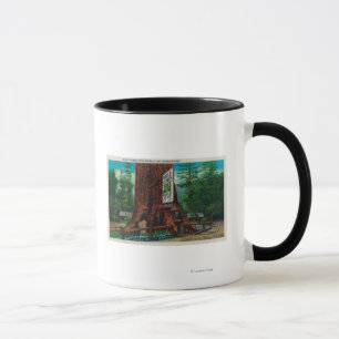 Taza World Famous Tree House, Parque Lilley Redwood