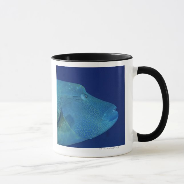 Taza Wrasse 2 de Humphead (Derecha)