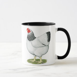 Taza Wyandotte: Gallina colombina
