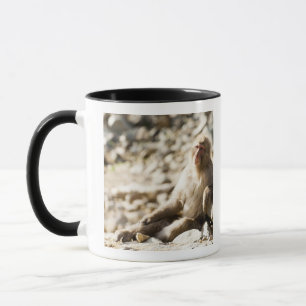 Taza Yamanouchi, Chubu, prefectura de Nagano, Japón 2