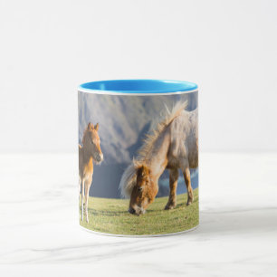 Taza Yegua con potro, islas Shetland, Escocia