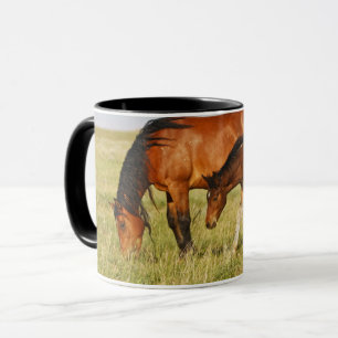Taza Yegua de caballo salvaje y potro pastando