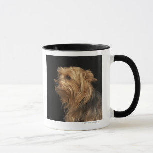 Taza Yorkie negro y marrón dejó perfil en negro